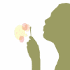 Animation sur site